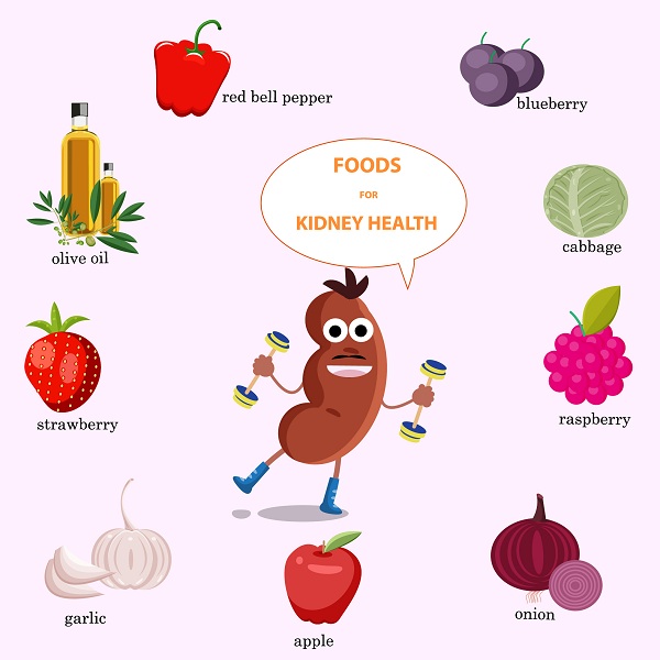 Healthy Foods for Kidney Patients