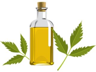 Neem Oil for Dandruff: How to Use and Benefits