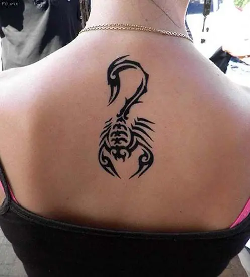 Tattoo of Scorpions Insects Spine