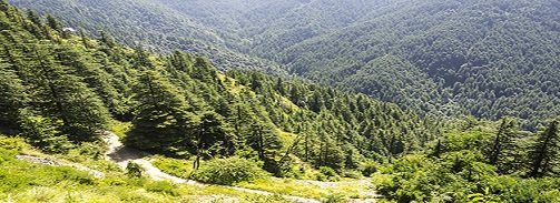 Green Valley most famous Valleys in Himachal Pradesh