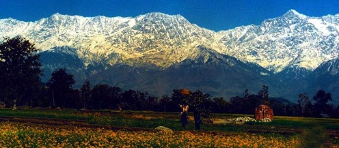 Kangra Valley famous valleys in Himachal Pradesh
