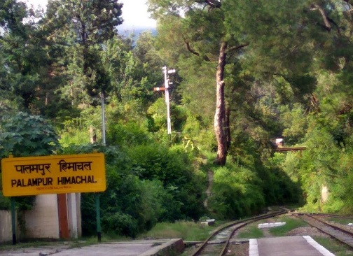 Palampur favorite hill station in himachal pradesh 
