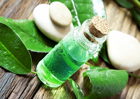 Tea Tree Oil for Pimples
