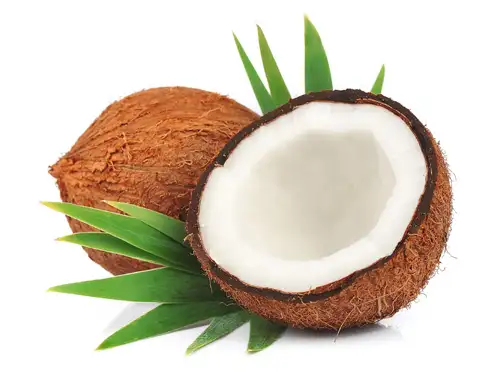 Coconut Meat best fruit for weight gain