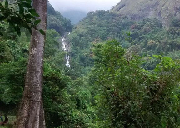 Waterfalls in Tamilnadu3