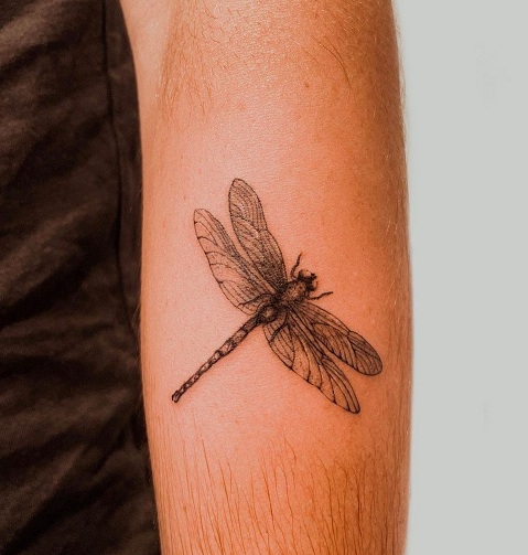 Insect Tattoo Design