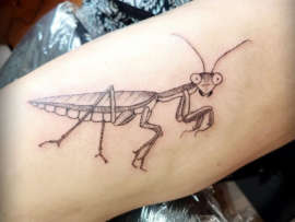 10+ Most Beautiful Insect Tattoos for Women and Men!