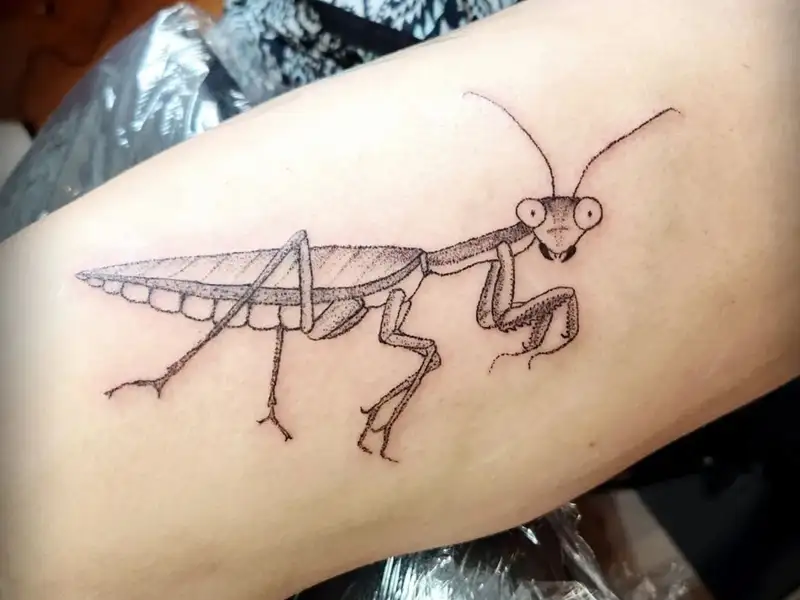 Microrealistic ant tattoo on the wrist