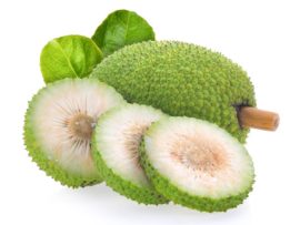 13 Wonderful Breadfruit Benefits (Bakri Chajhar) for Skin, Hair and Health