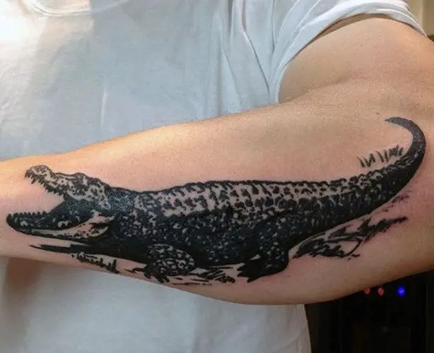 Arm Realistic Crocodile Tattoo by Kwadron Tattoo Gallery