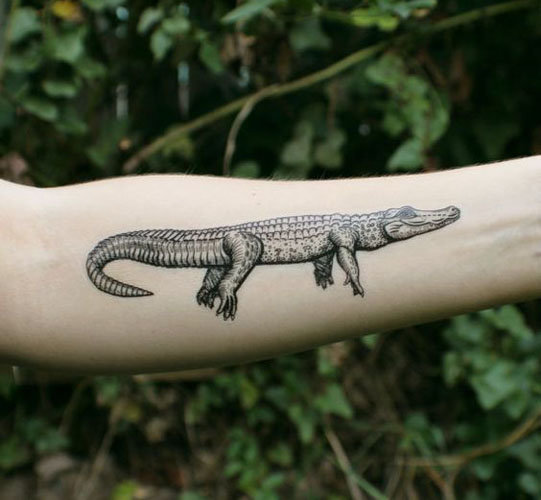 Crocodile tattoo by tattooist Sagas Tattoo crocodiletattoo inkedmag   22K Views  TikTok