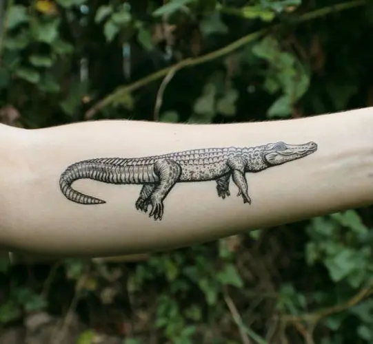 60 Alligator Tattoo Designs For Men  Cool Crocodiles