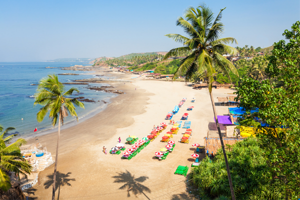 Baga Beach Best Beaches In Goa