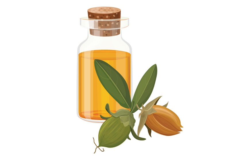 Is Jojoba Oil Good For Face Wrinkles And Acne