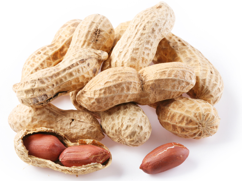 Peanuts During Pregnancy