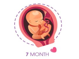 7th Month Pregnancy: Symptoms and Fetal Development