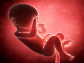 8 Months Pregnant: Signs,Symptoms and Fetal Development
