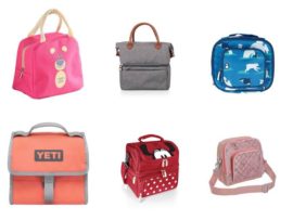 9 New Models of Lunch Bags For Office and School