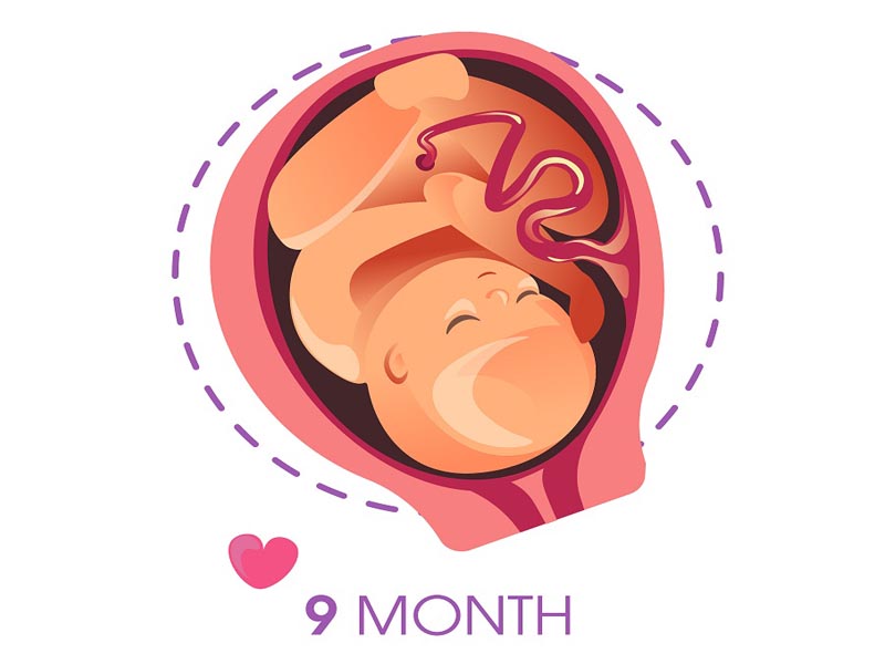 9th Month of pregnancy