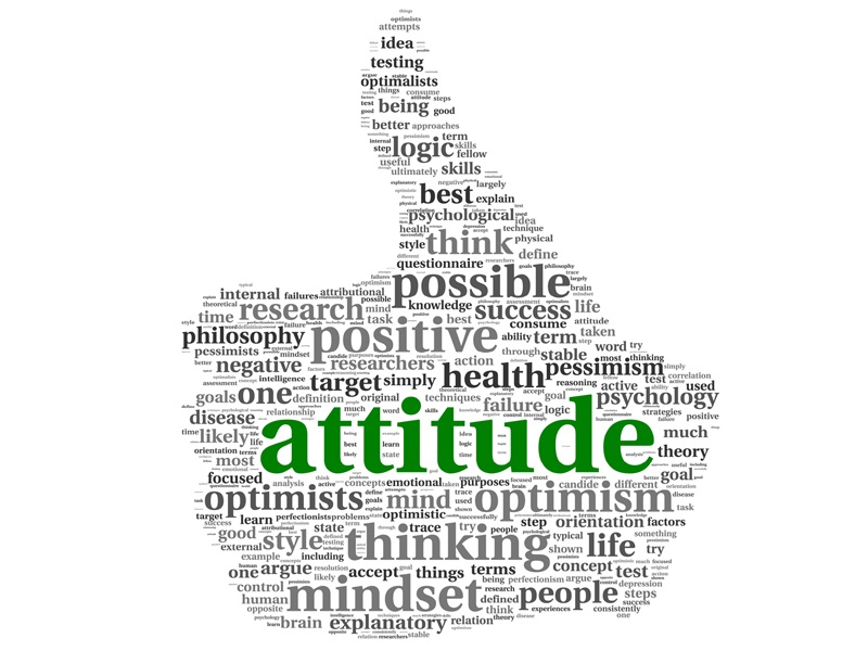 Types of Attitudes