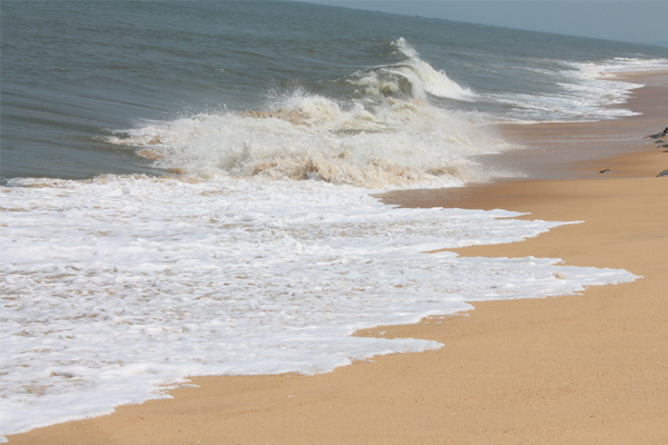 Tannirbavi Beach Is Located In Dakshin Kannada