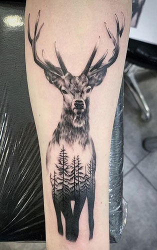 Best Ever Animal Tattoo Designs & Their Meanings 1