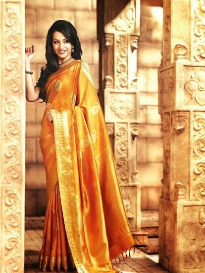 trisha in silk saree