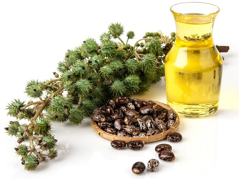 castor oil benefits