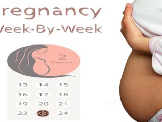 23 Weeks Pregnant: Symptoms and Baby Position