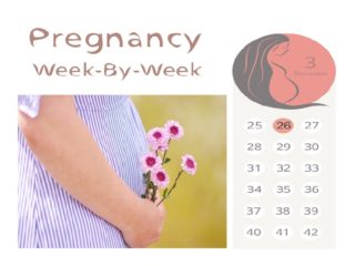 26 Weeks Pregnant : Everything You Need To Know About Is Here!