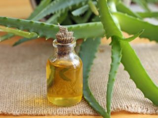 20 Evidence-Based Aloe Vera Oil Benefits For Skin, Hair & Health