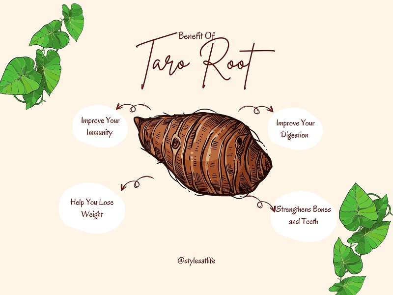 Amazing Benefits Of Taro Root