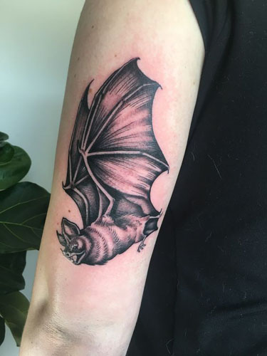 Bat Tattoo Designs And Pictures 8