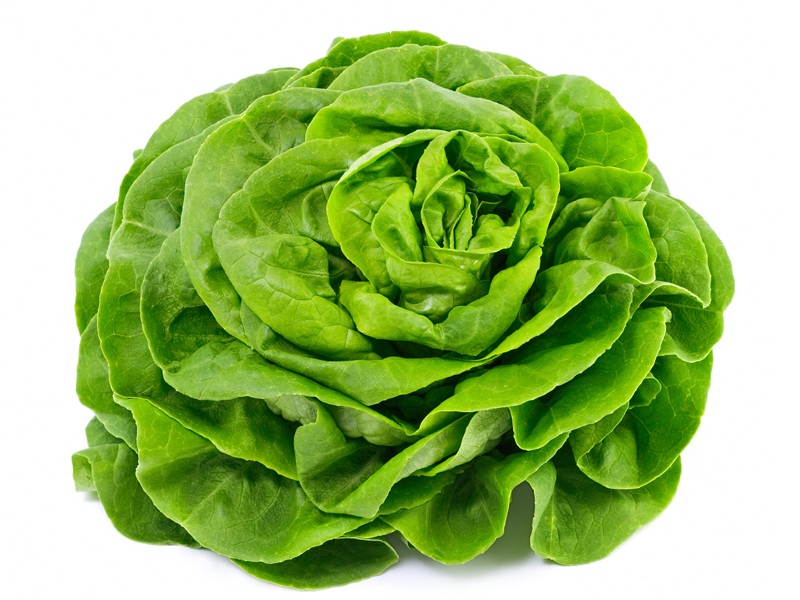 Lettuce During Pregnancy And Other Concerns Answered