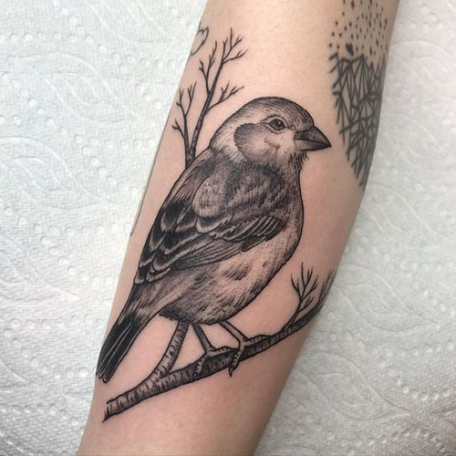 Sparrow Tattoos Meaning And Designs 6