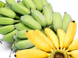 10 Types of Bananas in India – Info, Pictures and Names