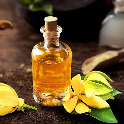 natural breast enhancement oil