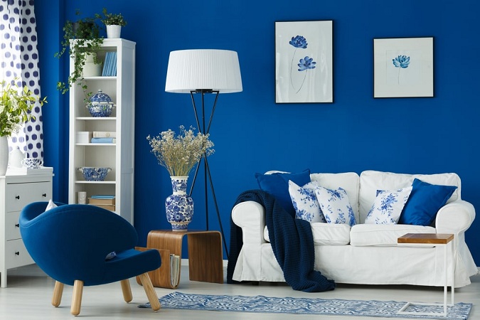 Blue Colour Living Room