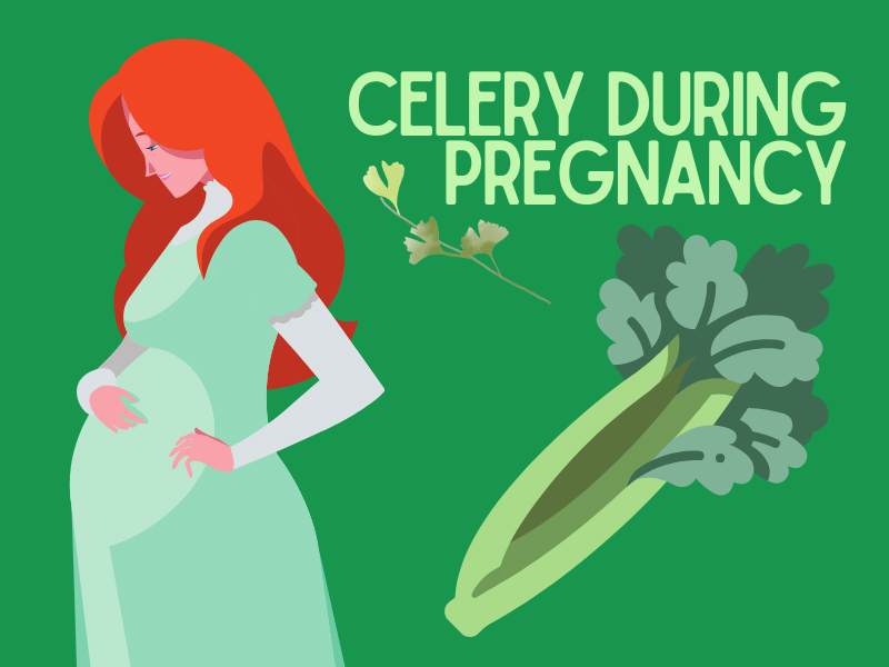 celery during pregnancy