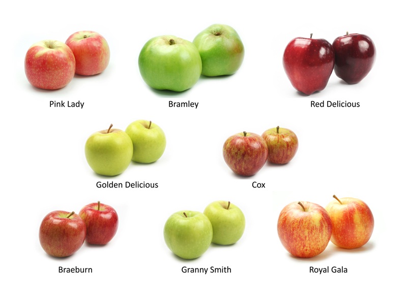 Different Types Of Apples With Pictures