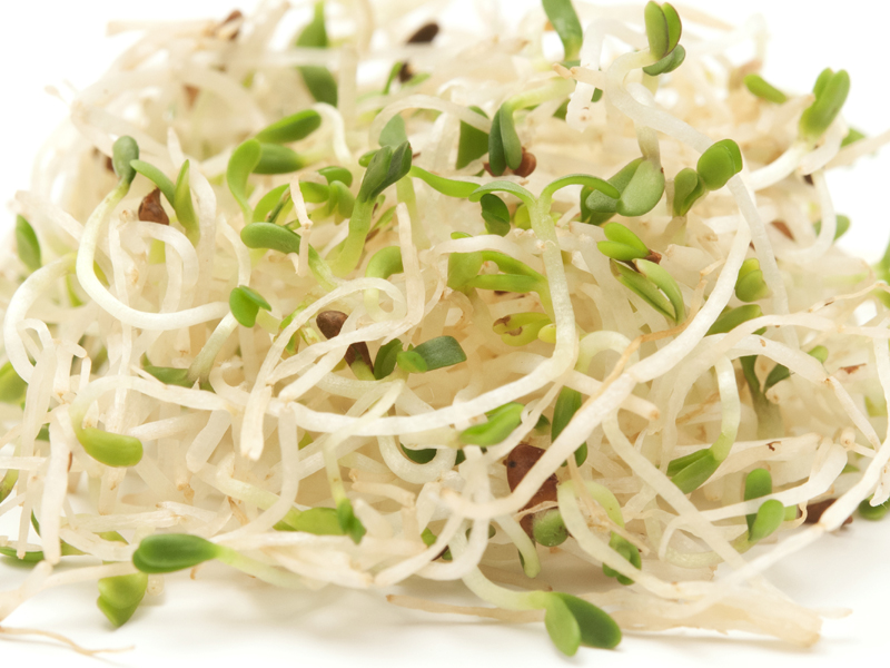Eating Sprouts During Pregnancy Is Good Or Bad