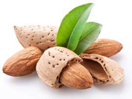 10 Amazing Benefits of Almonds (Badam) For Health, Skin & Hair