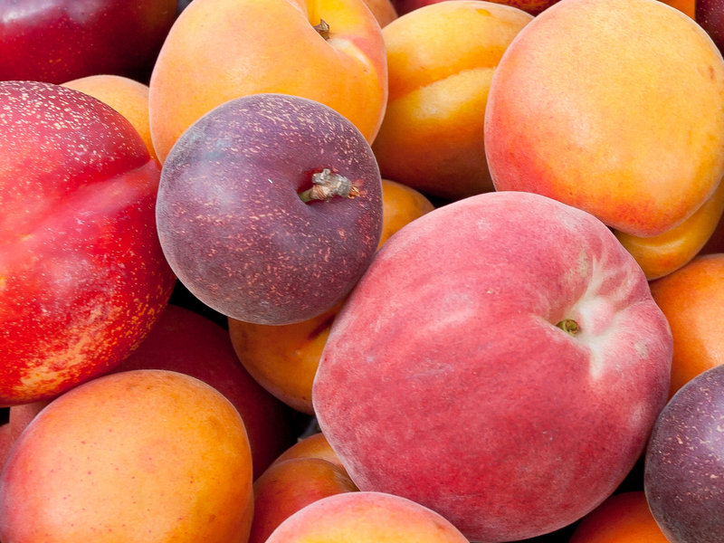 Amazing Apricot Benefits