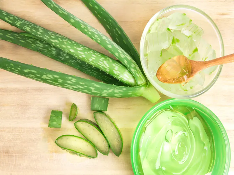 Top 10 Benefits of Aloe Vera for Health, Hair and Skin