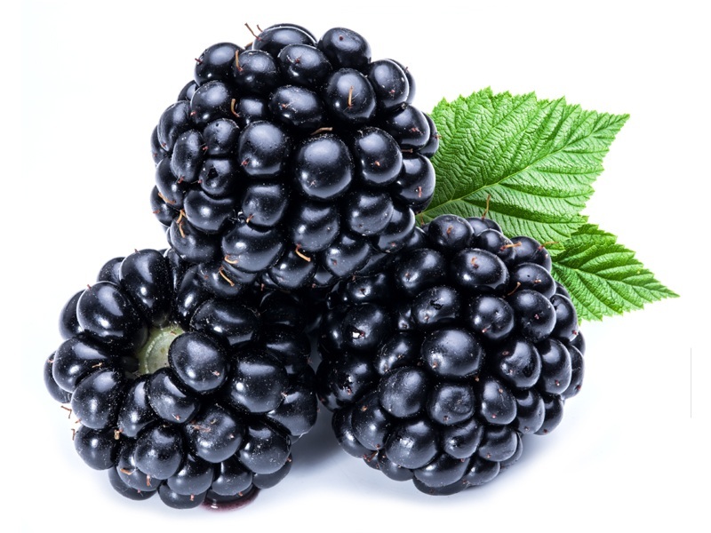 Benefits Of Blackberries For Skin, Hair and Health
