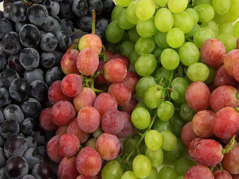 11 Proven Grapes Benefits and Side Effects (Evidence-Based)