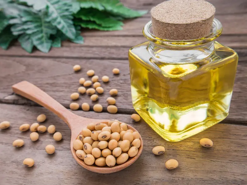6 Benefits and Uses of Soybean Oil