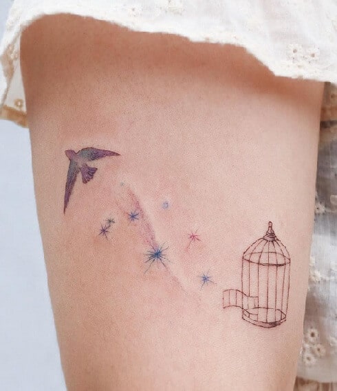 Birds Flying Out Of Cage