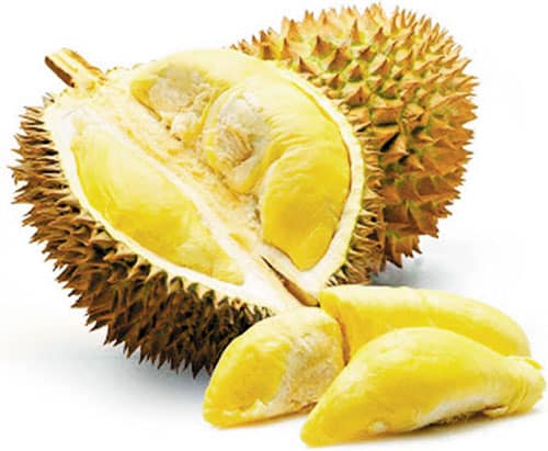 Durian reduce weight