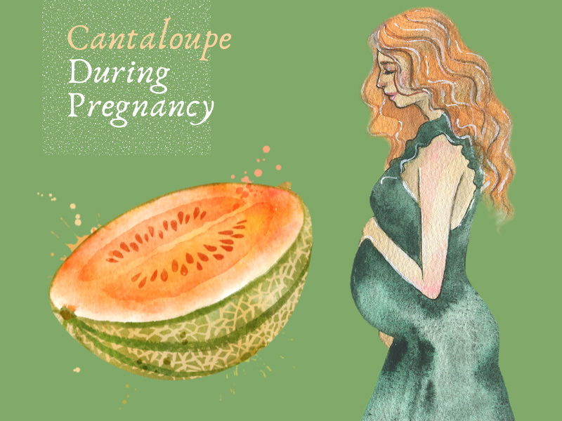 Eating Cantaloupe During Pregnancy
